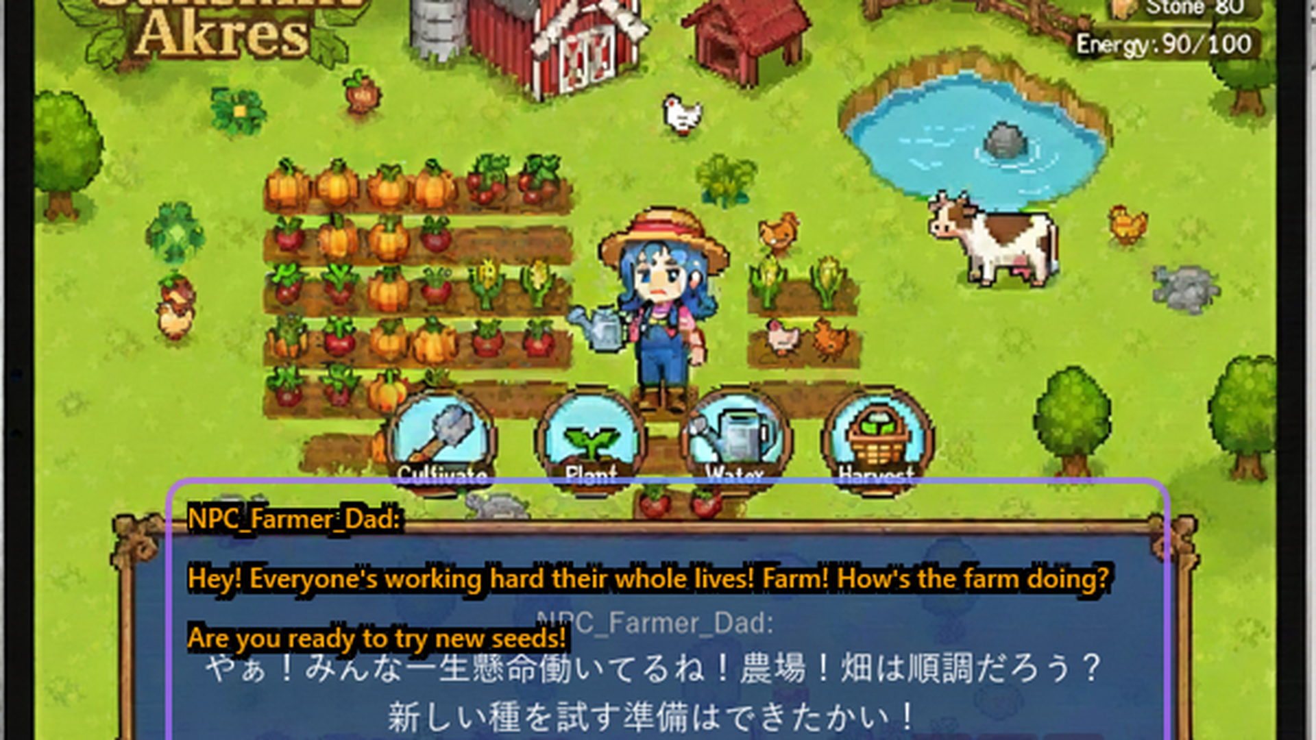 Translation Lens - Settings